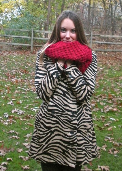 red scarf and zebra